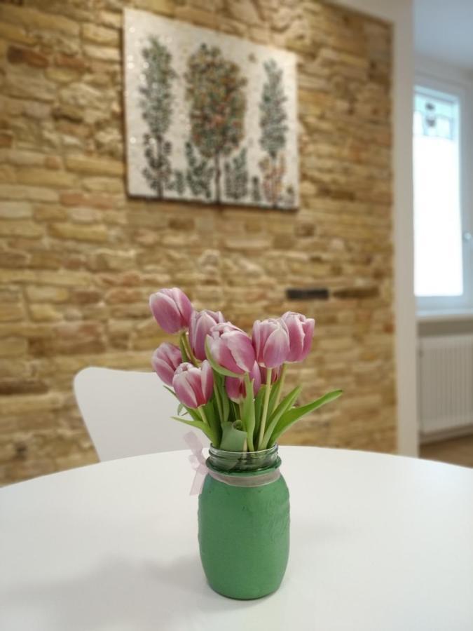 B&B Dimora Damiani Montefiore dellʼAso Zewnętrze zdjęcie